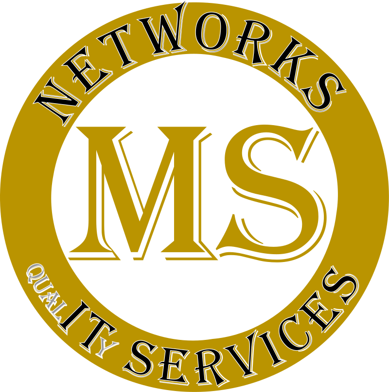 MS Networks Logo